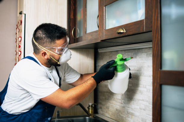 Best Ant Control Services  in Manchester, WA