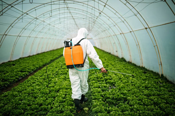Pest Control for Restaurants in Manchester, WA