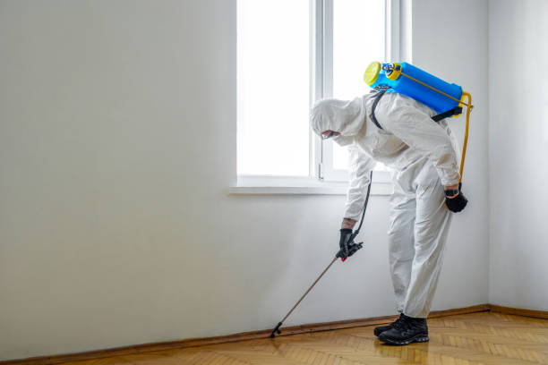 Best Affordable Pest Control Services  in Manchester, WA