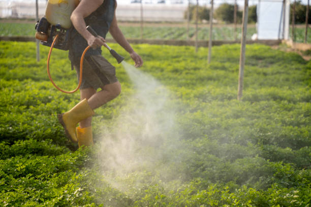Best Wildlife Control Services  in Manchester, WA