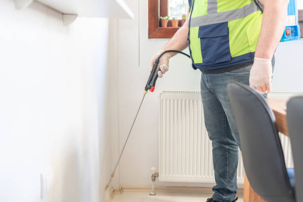 Best Termite Control Services  in Manchester, WA