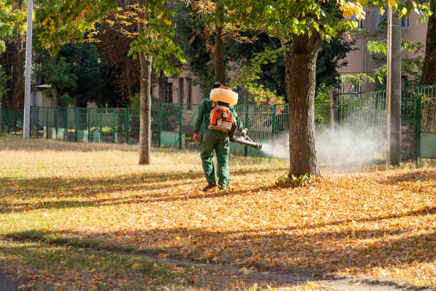 Best Cockroach Control Services  in Manchester, WA
