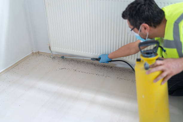Best Bed Bug Extermination  in Manchester, WA